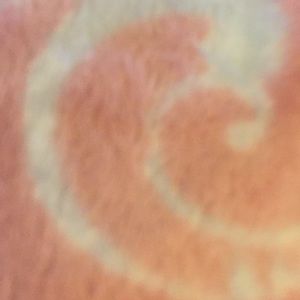 Meet your Posher, Deb